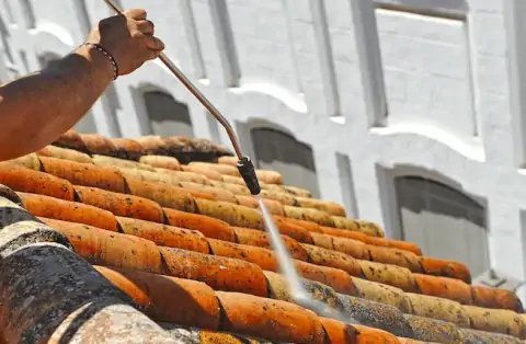 Nettoyage de toitures - Pouligny-Notre-Dame